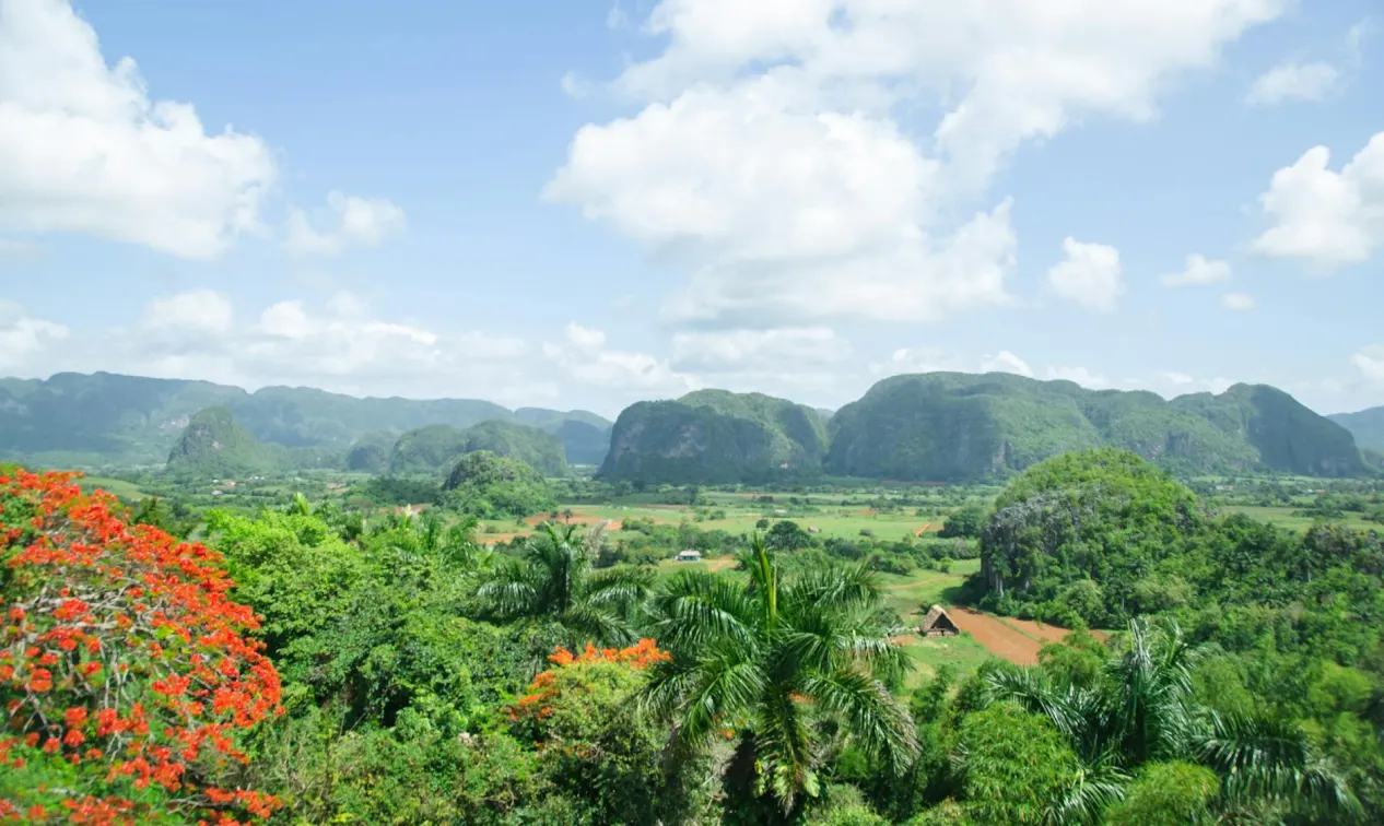 Restaurantes de Viñales en Cuba