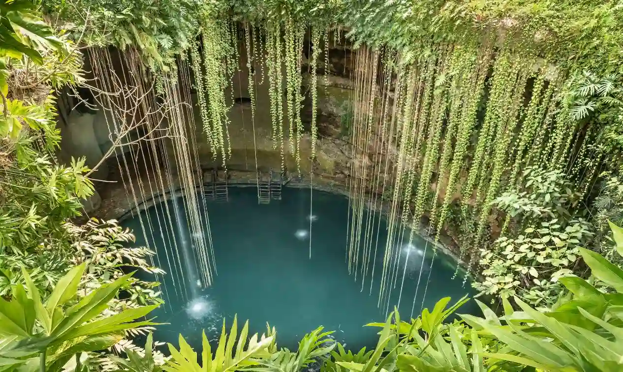 Cenotes en Yucatán