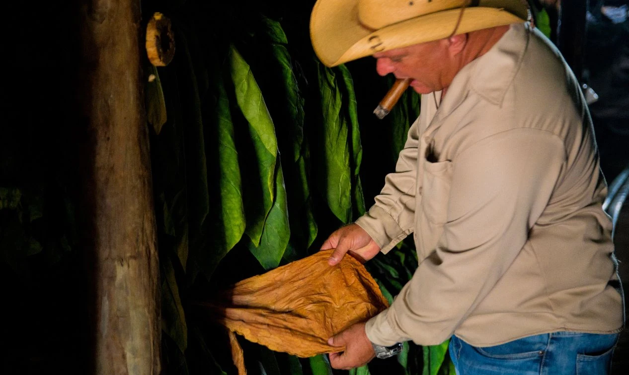 Ruta del Tabaco en Cuba