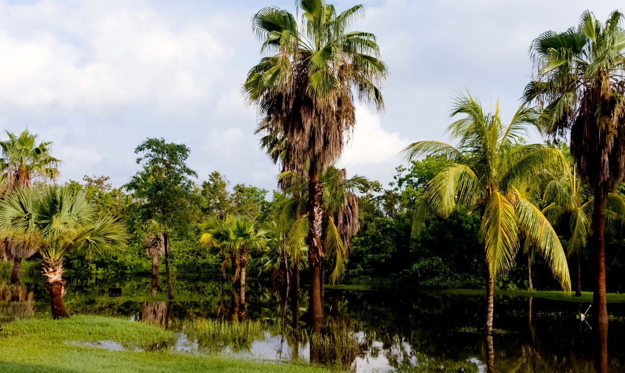 Parque Nacional Cienaga Zapata